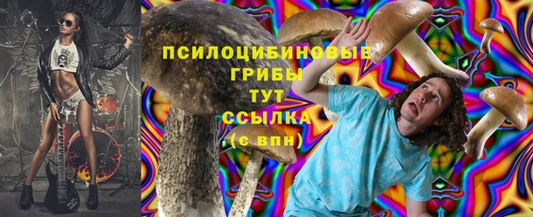 прущие крисы Баксан
