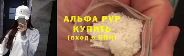 сатива Армянск